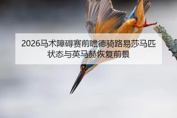 ma-shu-zhang-ai-sai-qian-zhan-de-qi-lu-yi-sha-ma-pi-zhuang-tai-yu-ying-ma-he-hui-fu-qian-jing-1-448.jpg