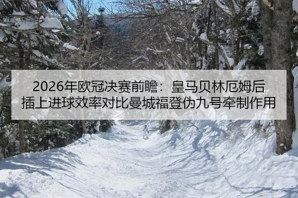 nian-ou-guan-jue-sai-qian-zhan-huang-ma-bei-lin-e-mu-hou-cha-shang-jin-qiu-xiao-lv-dui-bi-man-cheng-fu-deng-wei-jiu-hao-2-977.jpg