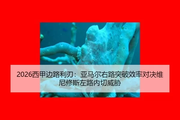 xi-jia-bian-lu-li-ren-ya-ma-er-you-lu-tu-po-xiao-lv-dui-jue-wei-ni-xiu-si-zuo-lu-nei-qie-wei-xie-2-845.jpg